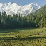 View of Nanga Parbat from Fairy Meadows National Park